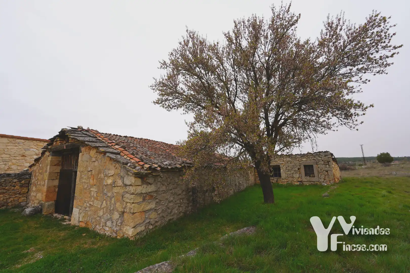 Fabrikhallen zum Verkauf in Valdevacas de Montejo