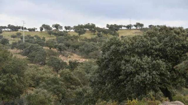 Terreno residencial en Venta en MONTE DEL PINO FR 955, -1 en La Granada de Río-Tinto