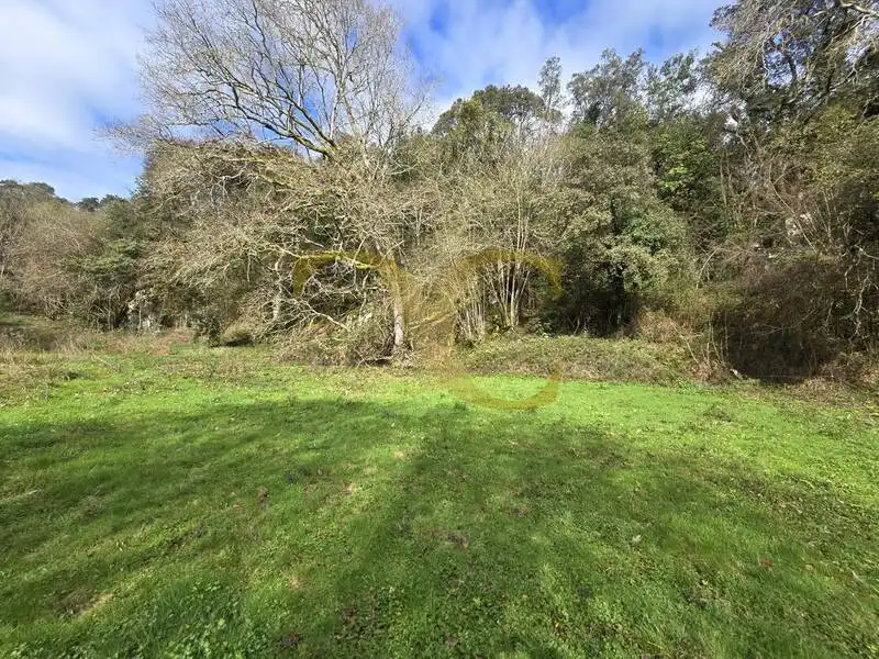 Terreno rustico in vendita a Balmori, imagen 8