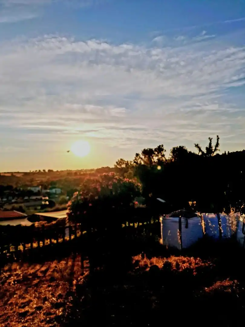 Vista exterior de Casa o xalet en venda en Matarrubia