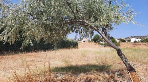 Foto 2 de Residencial en venda a Paredes de Escalona, Toledo