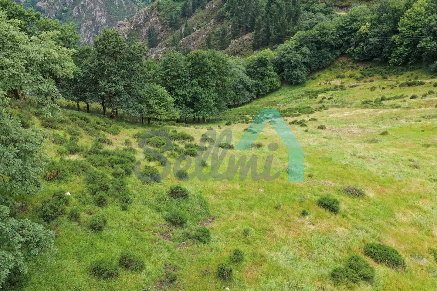 Land for sale in Proaza