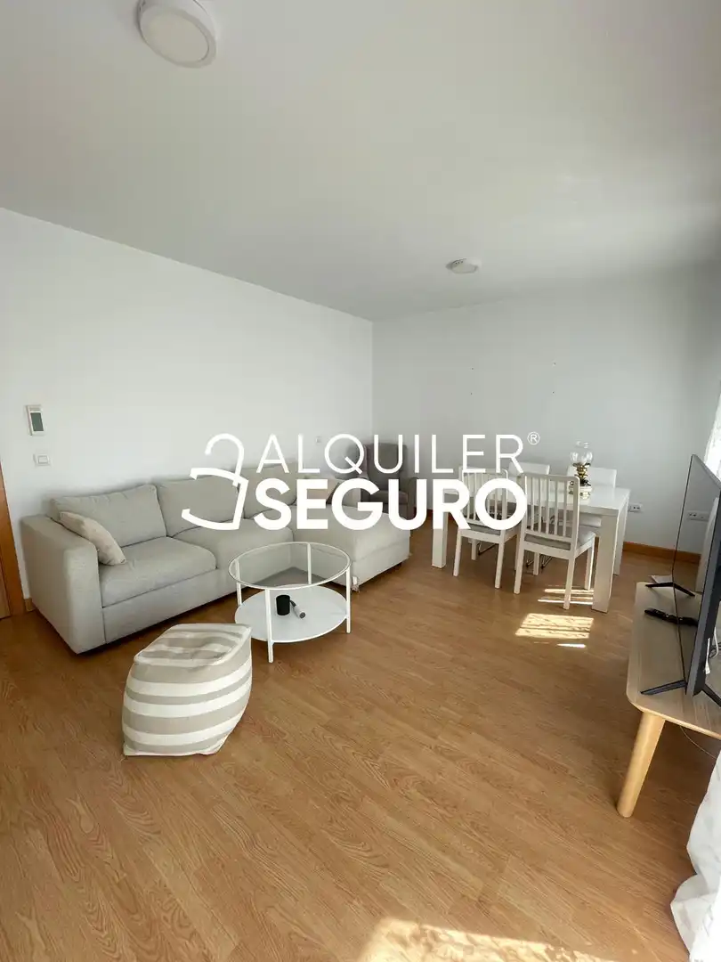 Sala de estar de Piso de alquiler en Madrid con Aire acondicionado, Calefacción y Terraza