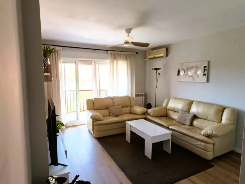 Living room of Flat for share in Norte
