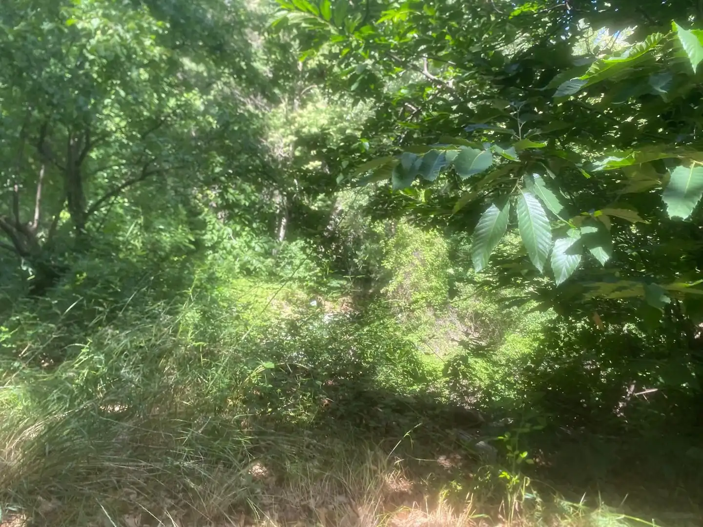 Casa amb jardí en venda a Güéjar Sierra, imagen 33