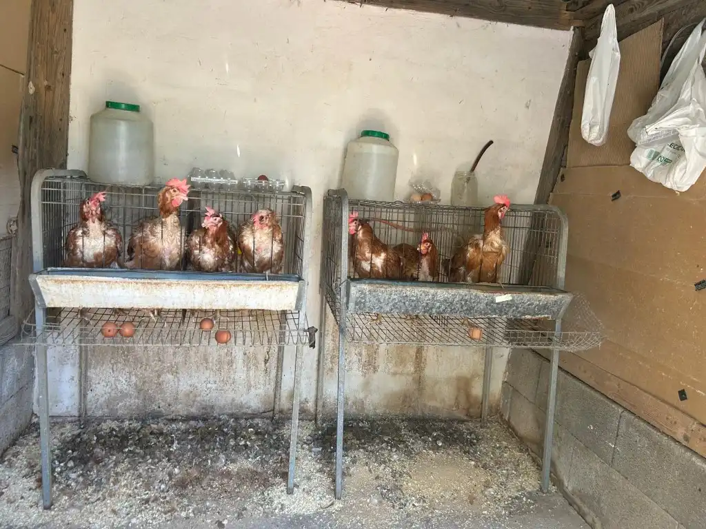 Finca rústica en venta en Sot de Ferrer