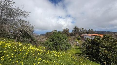 Photo 5 of Country house for sale in Camino Lomo el Marco, Moya (Las Palmas), Las Palmas