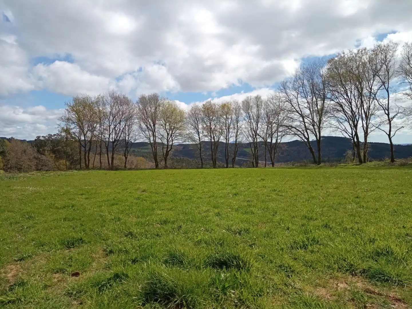Terreno en venta en Arzúa