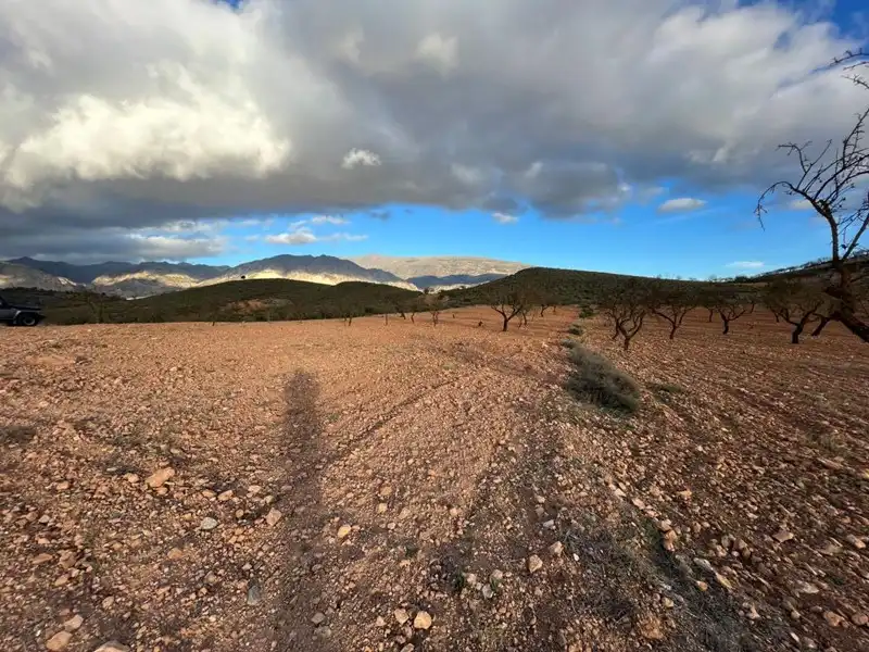 Terreny rústic en venda a Villamena, imagen 3
