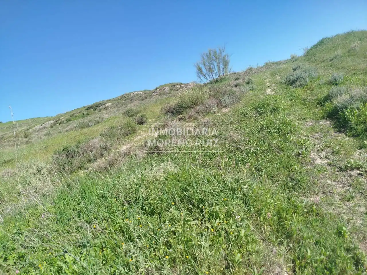 Terreny residencial en venda a Luque, imagen 3