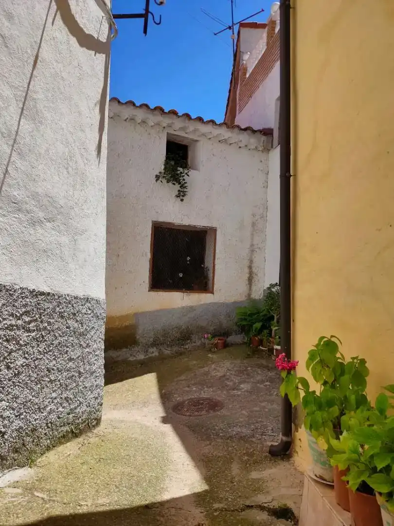 Vista exterior de Finca rústica en venda en Talamantes