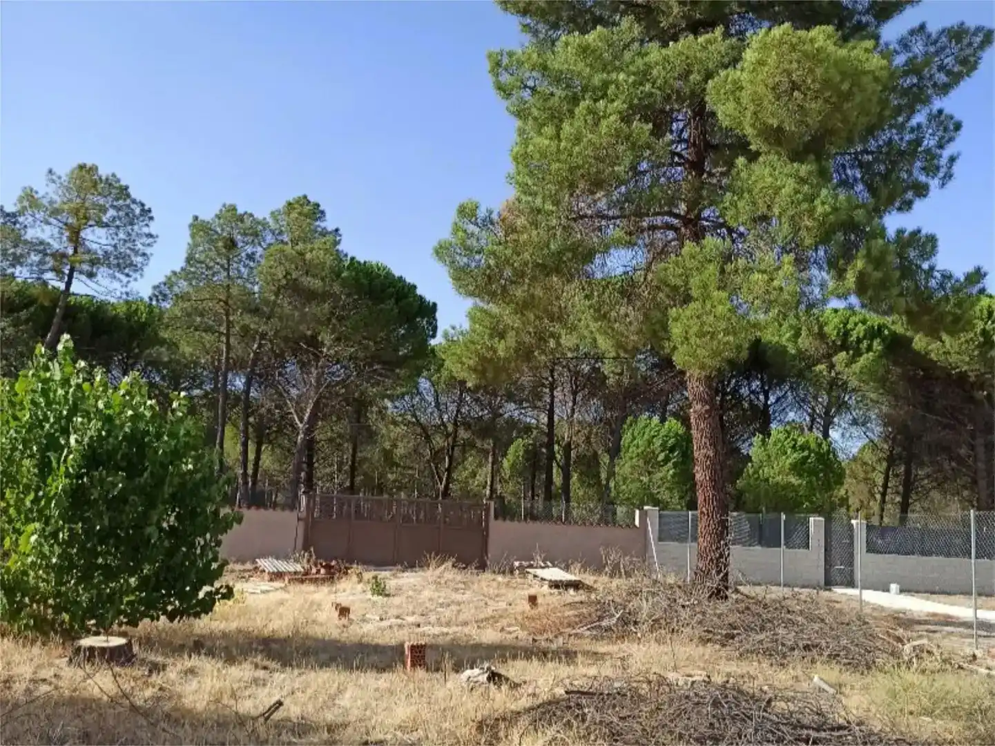 Grundstücke zum Verkauf in Mojados, Valladolid
