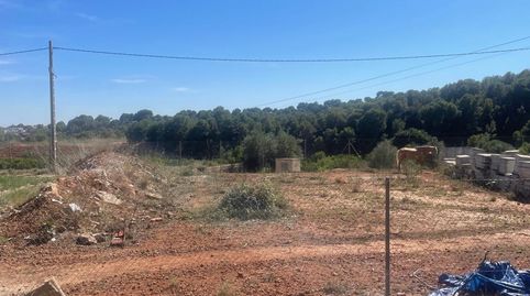 Finca en Venta en Náquera, imatge 3