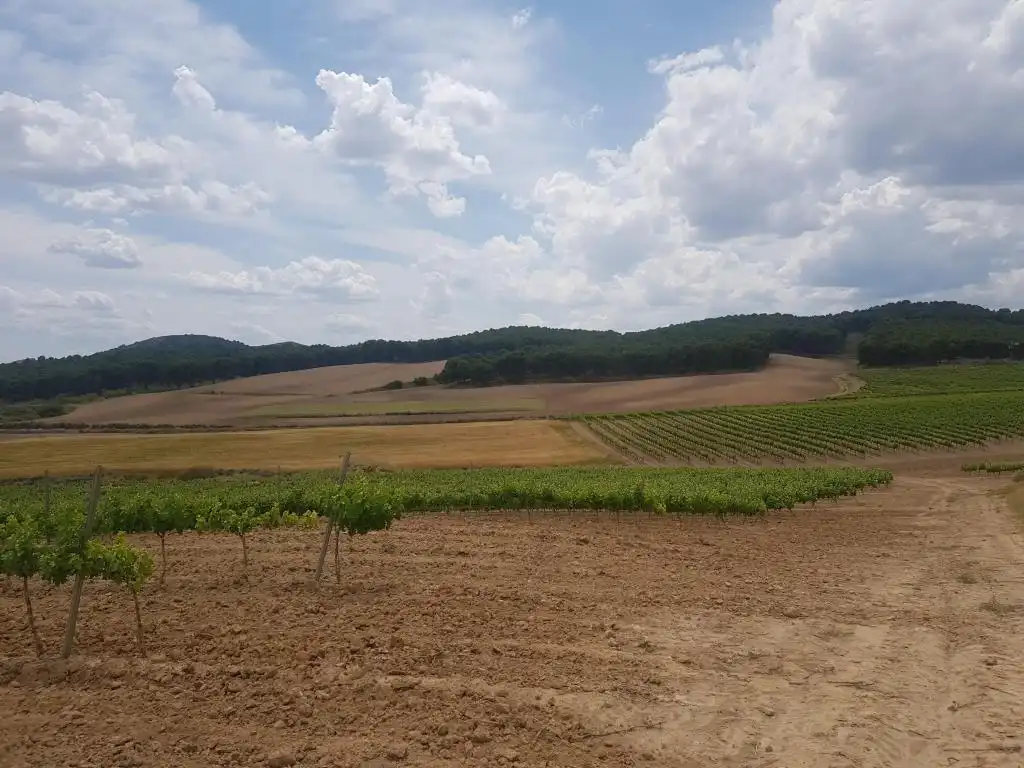 Rural land for sale in c/ palancona, imagen 3