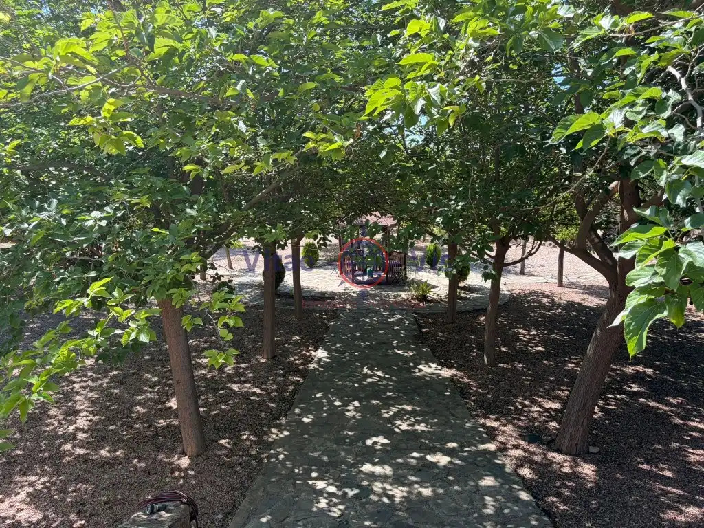 House with terrace for sale in Diseminados Morti Alto, imagen 13