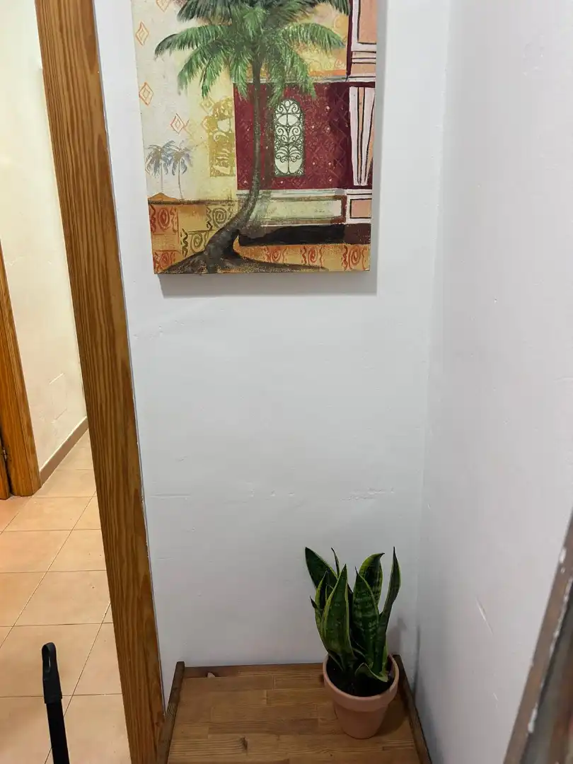 Wohnung zur Miete in Cartagena mit Klimaanlage, Möbliert und Ofen