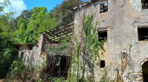 Ruina en venta, situada en la Garrotxa., imatge 2