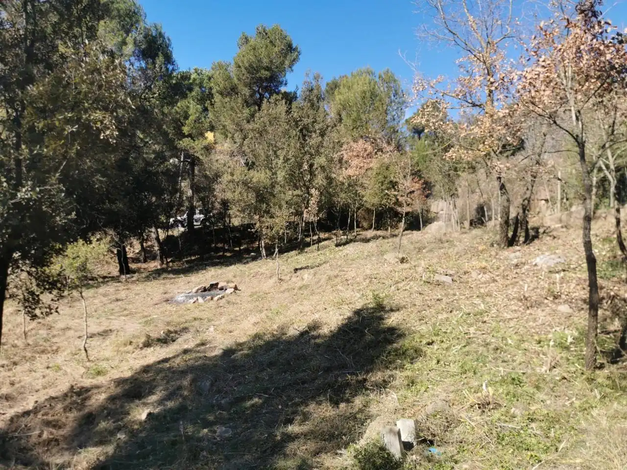 Terrenos y solares en venta en Joan Miró