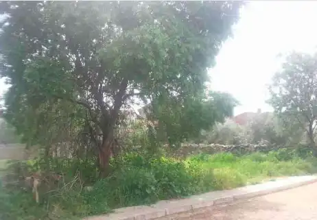 Terreno rustico in vendita a C/ Menéndez Pelayo, imagen 6