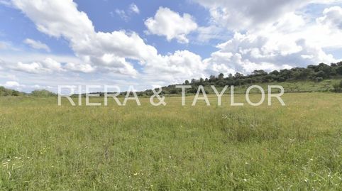 Photo 2 of Land for sale in Ariany, Illes Balears