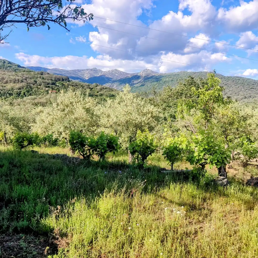 Terreni e lotti in vendita a Losar de la Vera