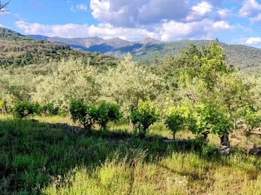 Terreno rustico in vendita a Losar de la Vera