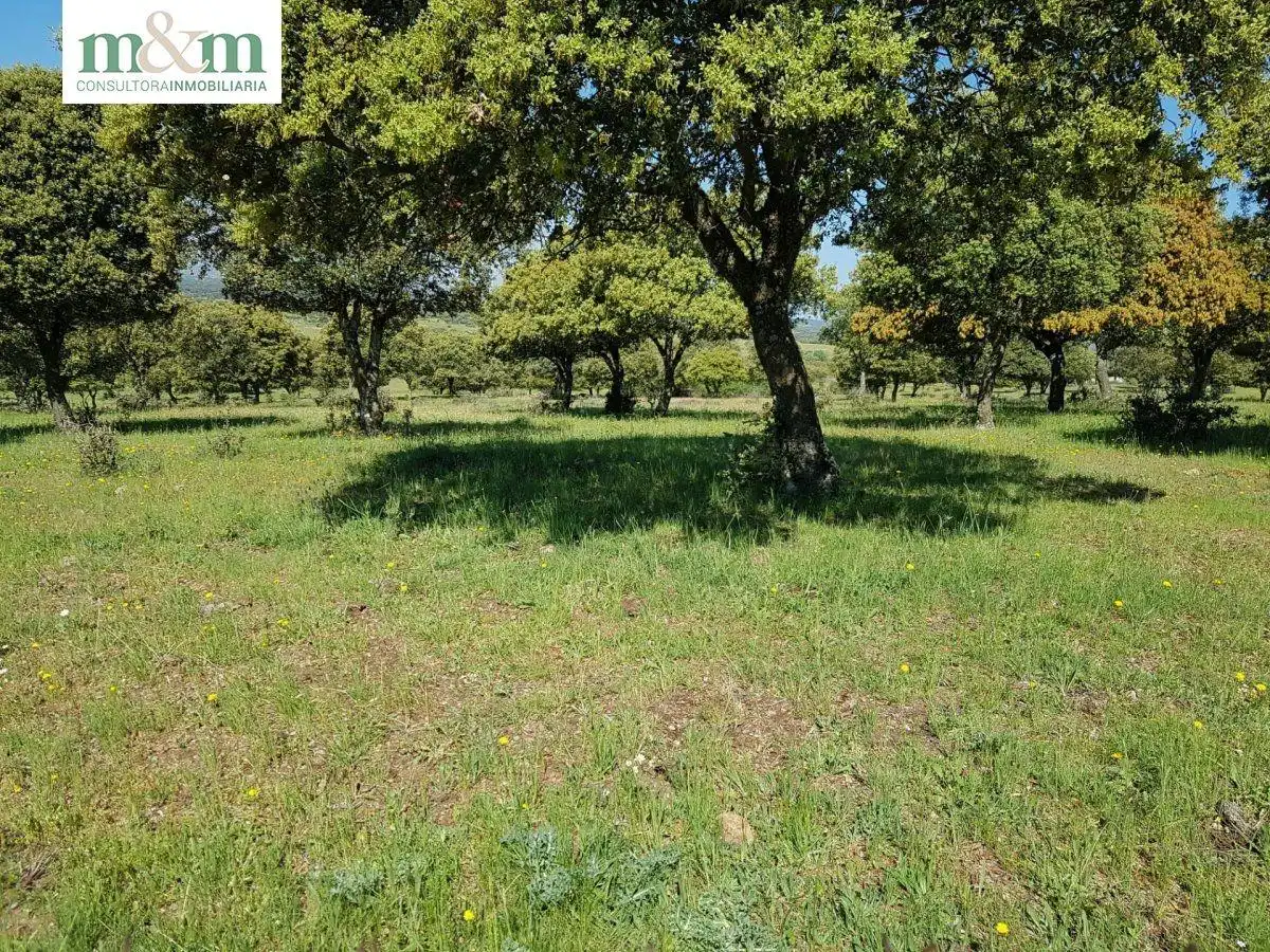 Casa amb jardí en venda a Frades de la Sierra, imagen 50