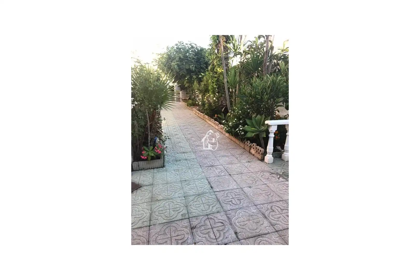 Garden of Houses for rent in Torrevieja  with Air Conditioner, Terrace and Swimming Pool