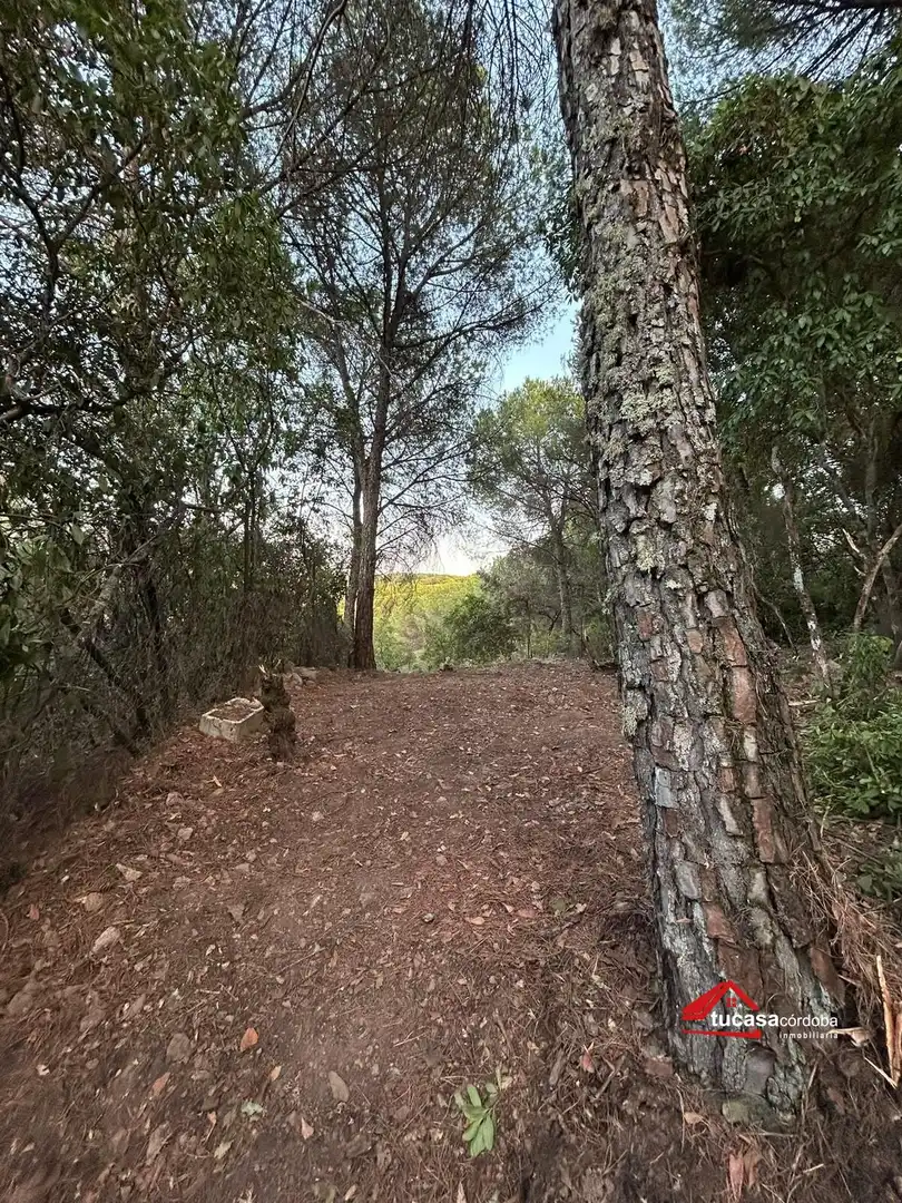 Casa rustica in vendita a Periurbano Oeste - Sierra, imagen 10