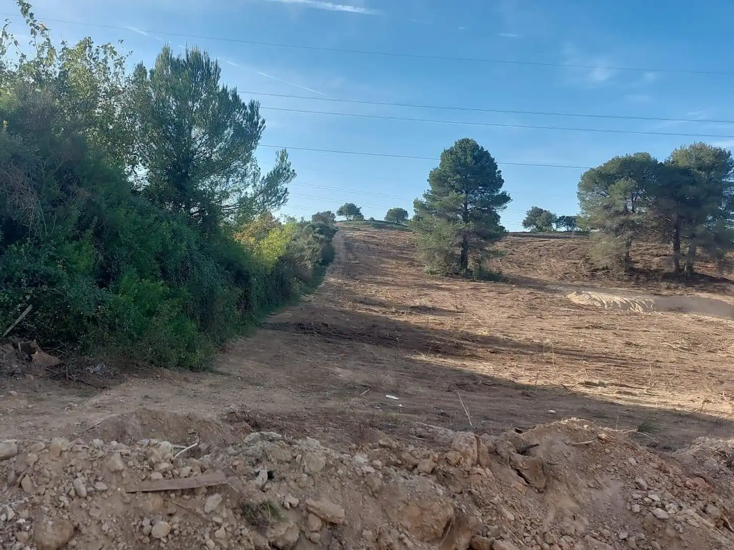 Terreno rústico en venta en Castellbisbal, imagen 5