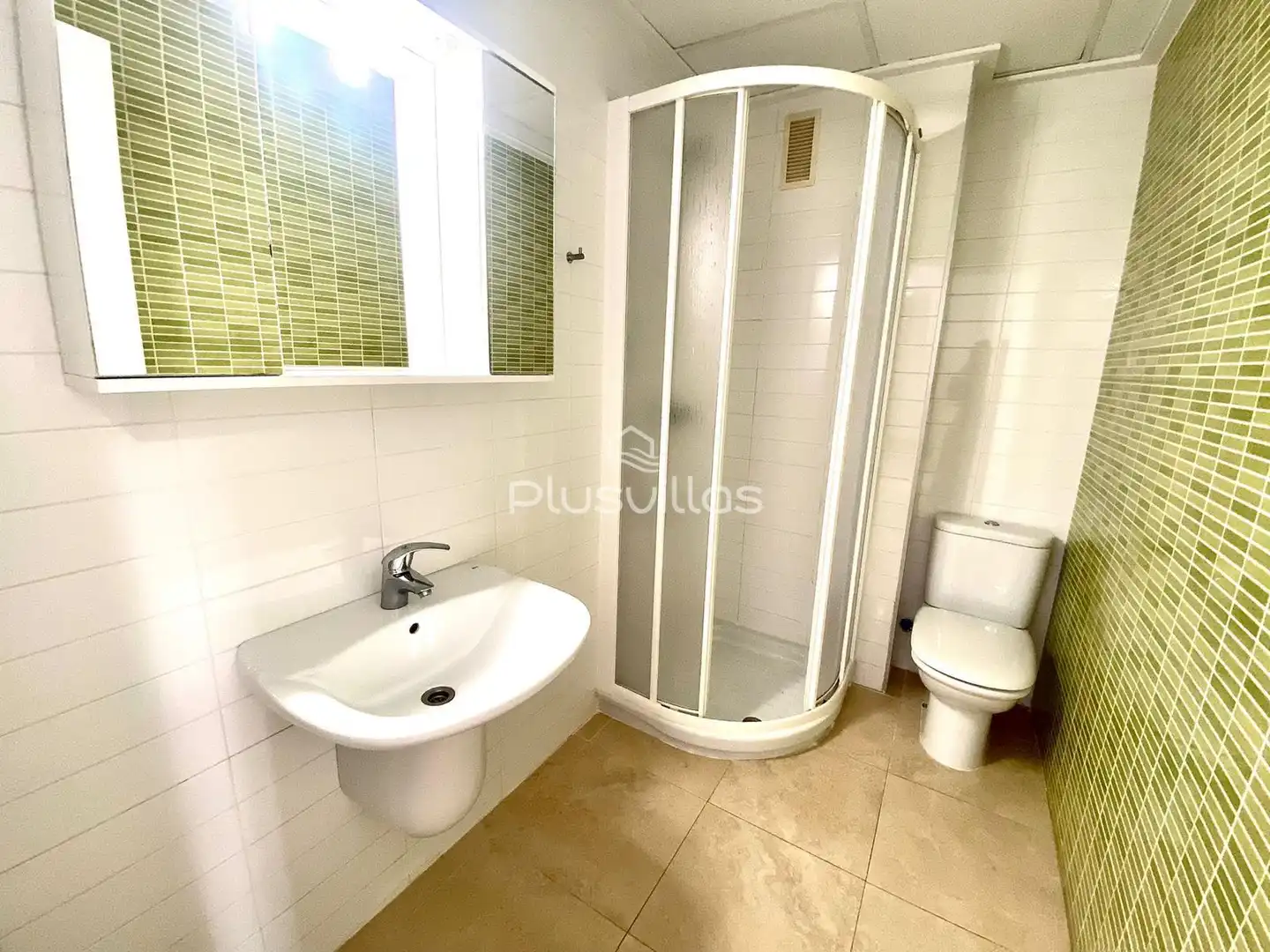 Apartment for sale in Zona Pueblo, imagen 13