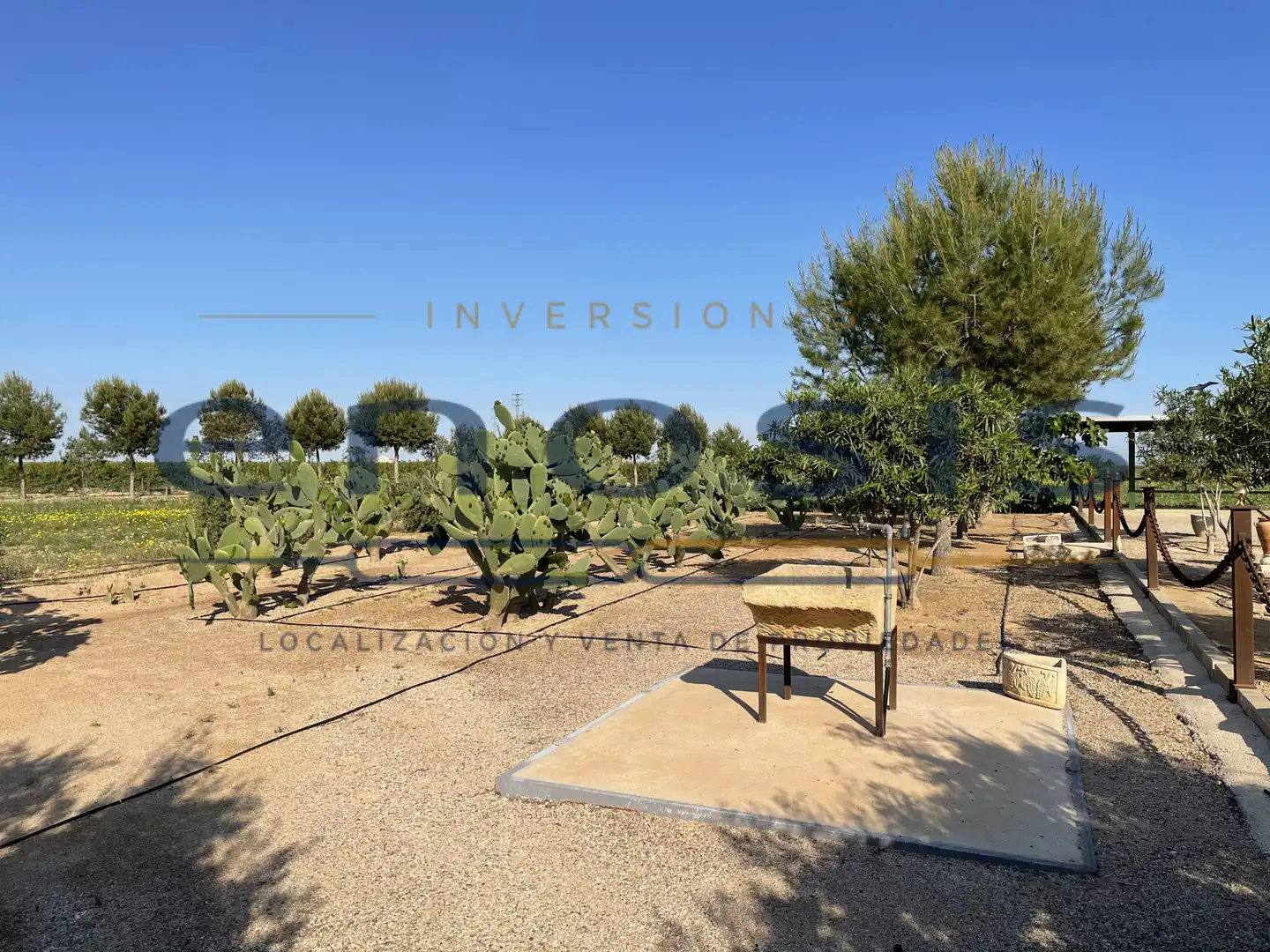 Garten von Country house zum Verkauf in Murcia mit Privatgarten
