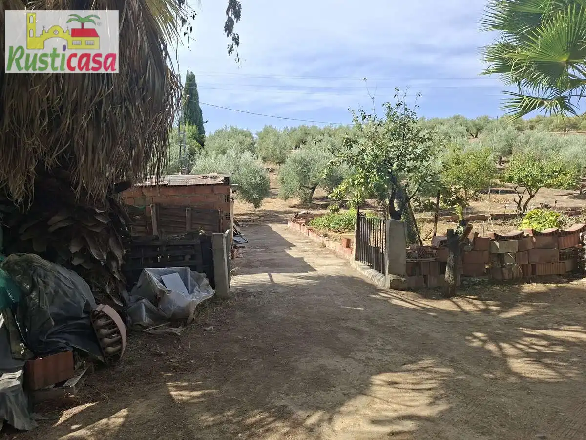 Xalet amb jardí en venda a Bailén, imagen 10