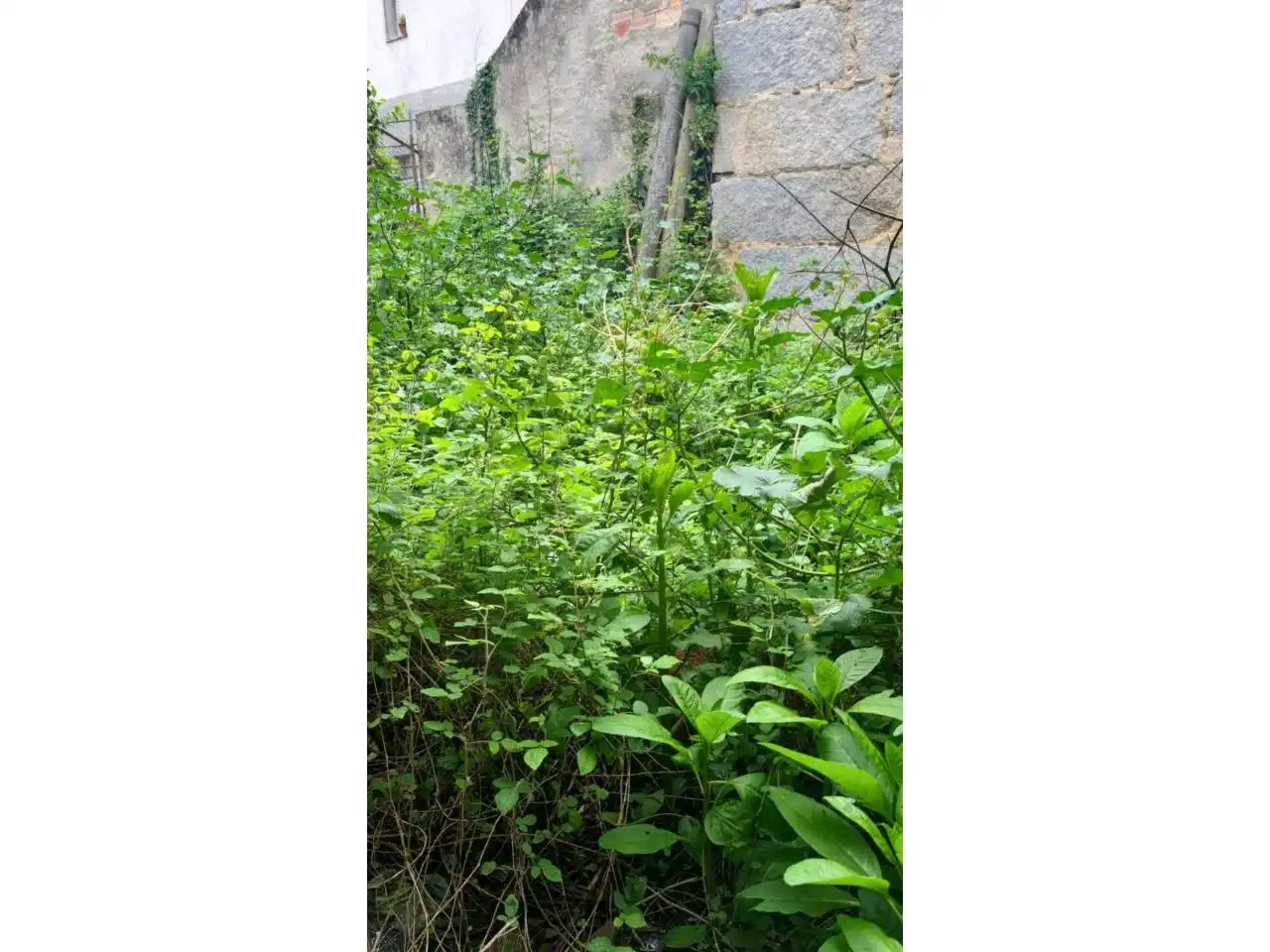 Casa o xalet en venda en Ourense Capital  amb Calefacció, Jardí privat i Traster