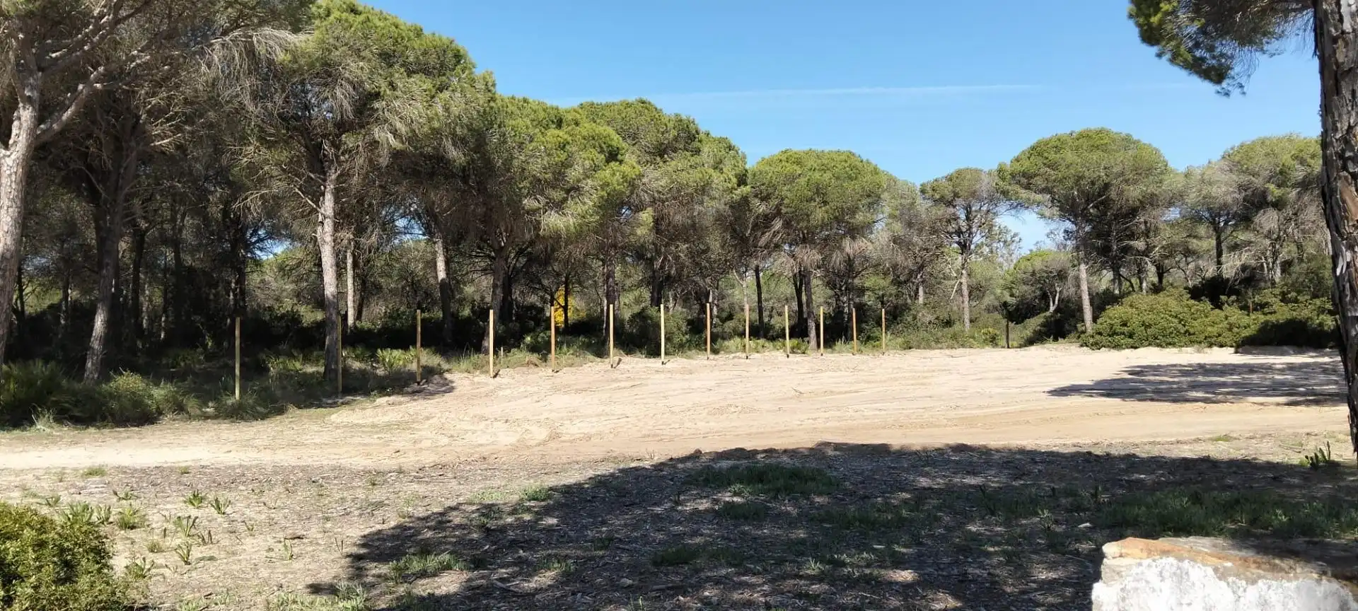 Casa en venda a Las Lagunas - Campano, imagen 3
