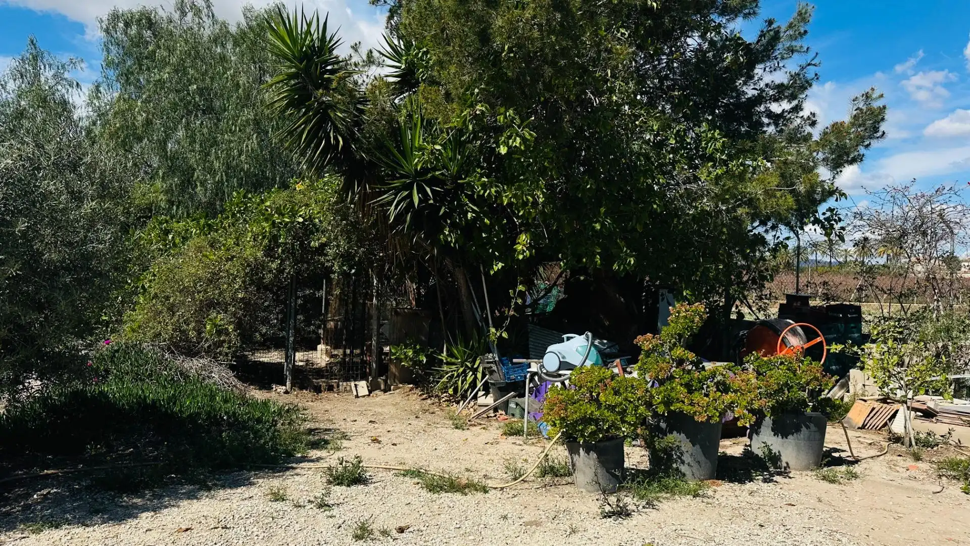 Casa o xalet en venda en Elche / Elx amb Jardí privat, Traster i Piscina