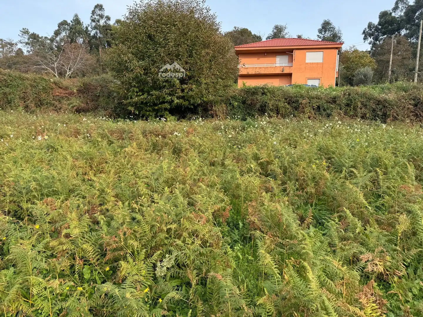 Terreno rústico en venta en Bembrive, imagen 19
