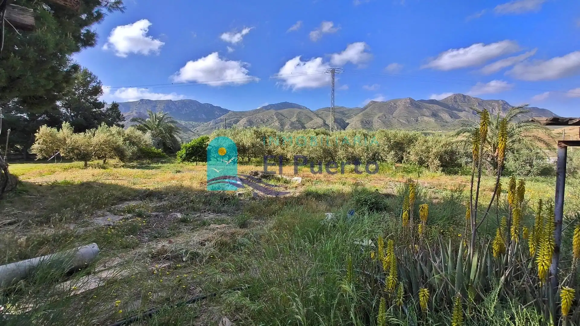 Casa con jardín en venta en Mazarrón Casco Urbano, imagen 6