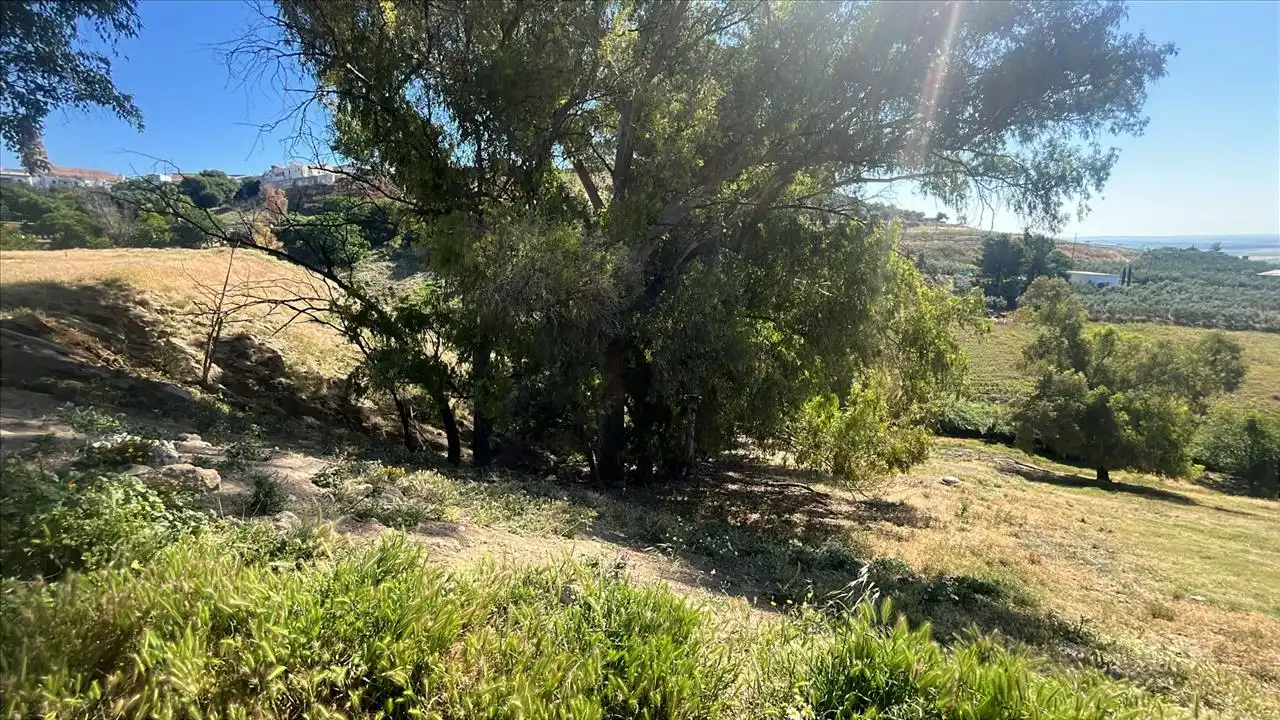 Residencial en venda en Carmona