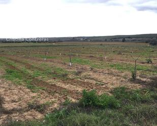 Land for sale in Huévar del Aljarafe