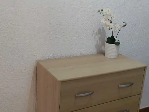 Piso con ascensor en venta en Avinguda Carlos Soler 14, imagen 2