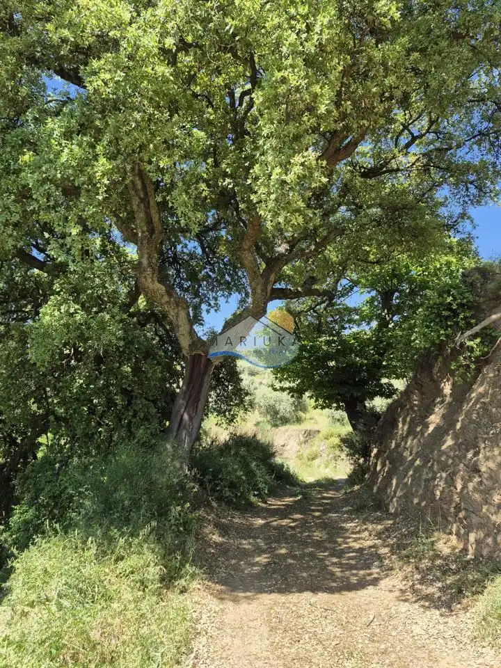 Terreny rústic en venda a poligono 10