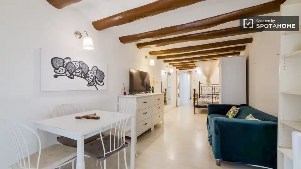 Sala de estar de Piso de alquiler en Barcelona con Aire acondicionado, Calefacción y Amueblado