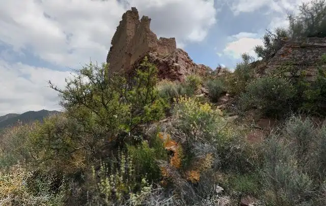 Garden of Houses for sale in Olocau