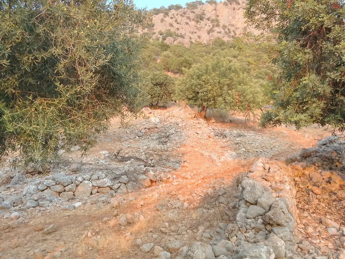 Terreni e lotti in vendita a Ubrique, imagen 16