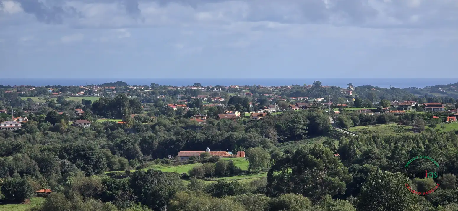 Terreny residencial en venda a Peón - Coto de la Castañera, Curviellu S/N, imagen 16