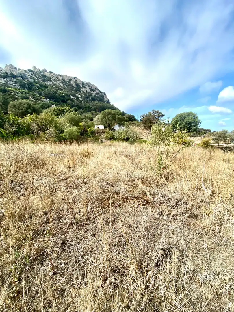 Detached house with garden for sale in Facinas, imagen 22