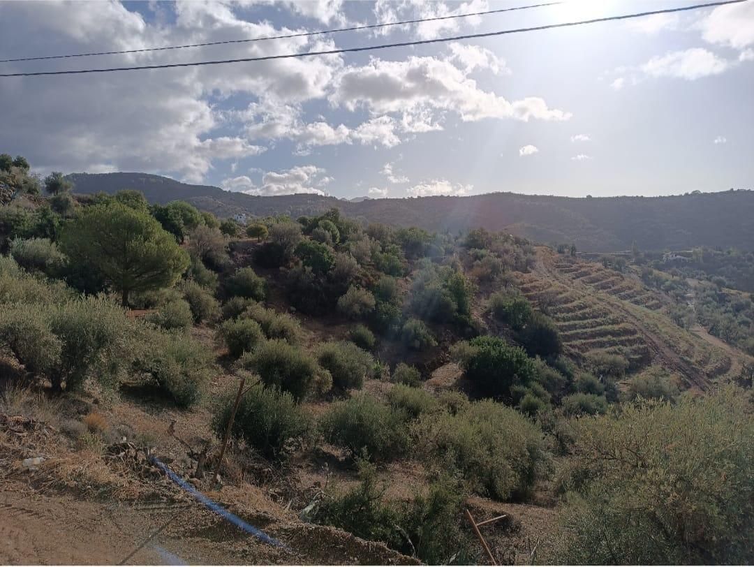 Land for sale in Camino Camino de Cuesta Bravo, Salares