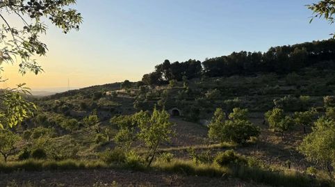Foto 5 de Casa o xalet en venda a La Fatarella, Tarragona