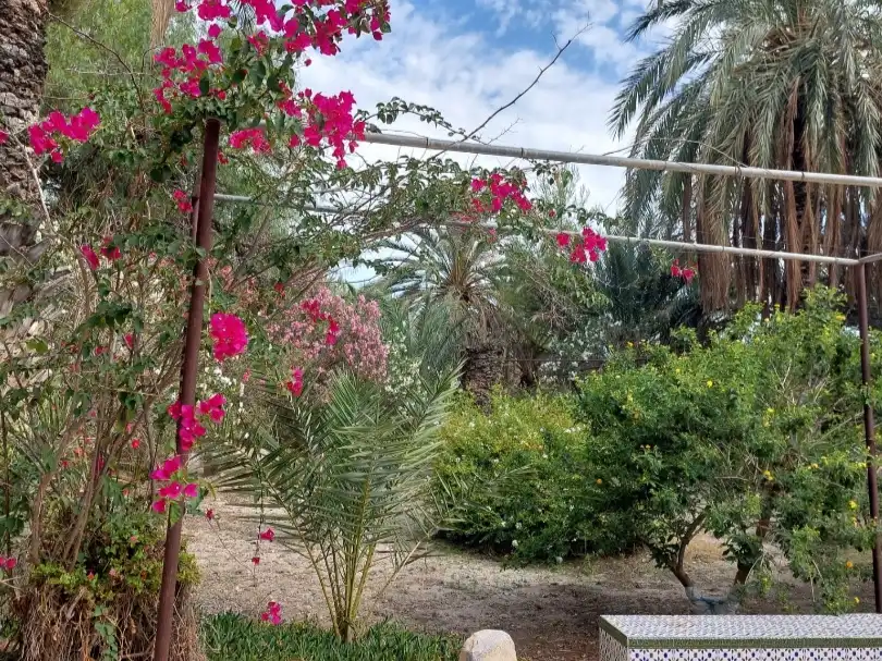 Jardín de Finca rústica en venta en Partaloa, Almería